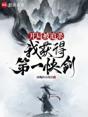 我获得第一快剑手打无错字版