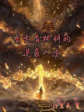 有男主角林羽的重生