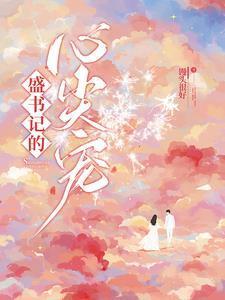 盛书记的心尖宠晋江