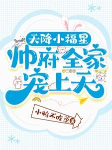 帅府全家宠上天短剧