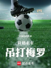 开局卡卡吊打梅罗