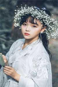 太子喜欢太子妃的妹妹