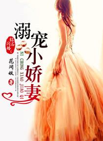 钻石闪婚之溺宠小妻全文免费阅读